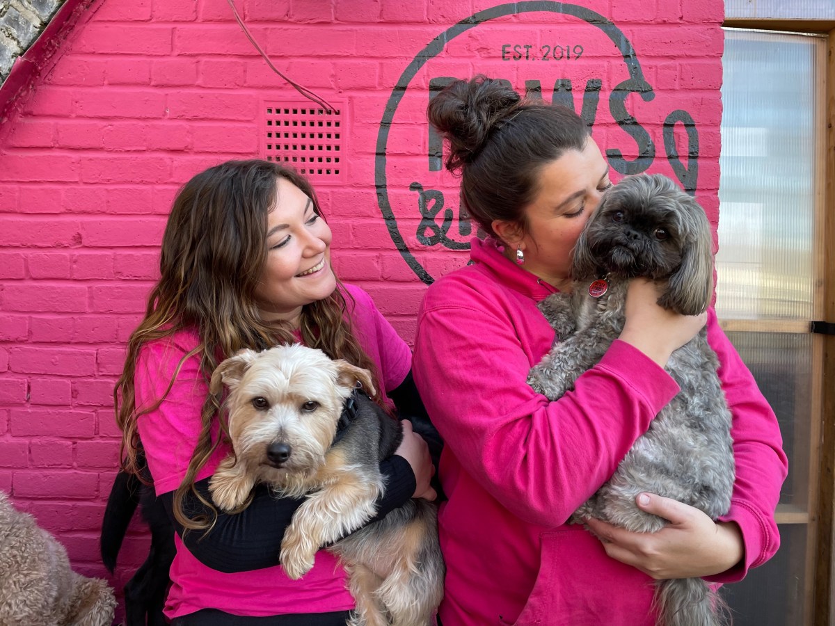 Meet Paws & Pause: The Samuel Wilson’s Loan-funded social enterprise where good dogs do good&nbsp;deeds